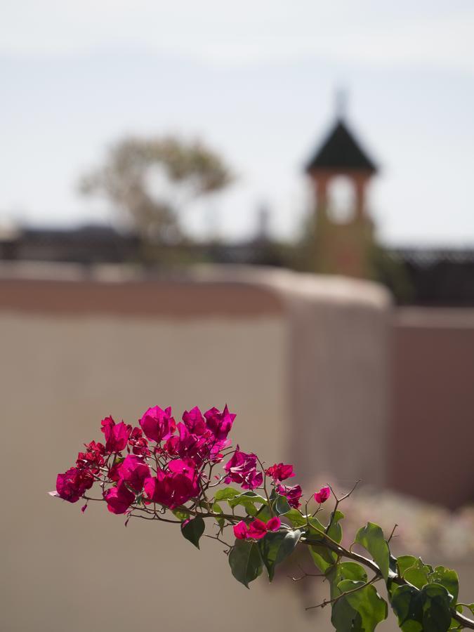 Dar Andamaure Hotell Marrakesh Exteriör bild